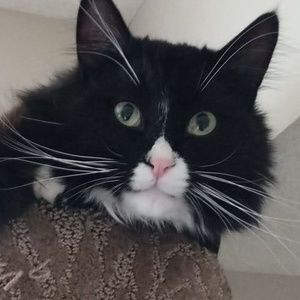 Meet your Posher, Nick